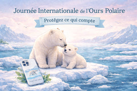 Journée internationale de l’ours polaire : protéger la planète… et ce qui compte pour vous