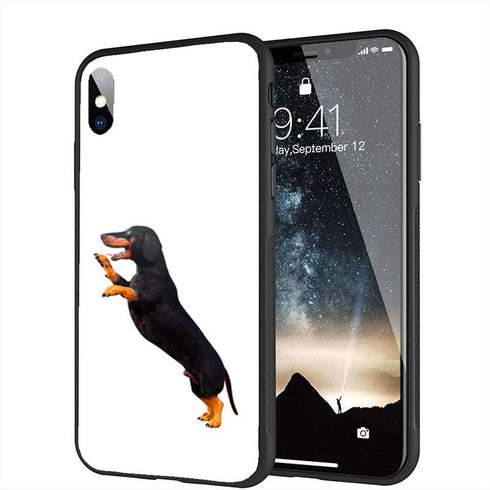 Coque iphone xr original verre trempé chien teckel