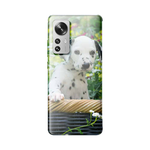 Coque Xiaomi 12 5G Chiot Dalmatien