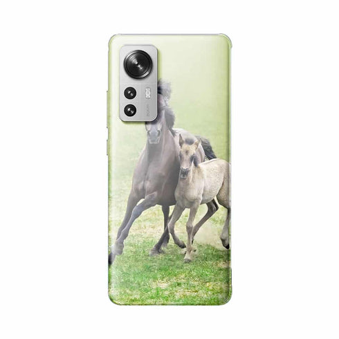 Coque Xiaomi 12 5G Horses, Wild Duelmener ponies, mare and foal