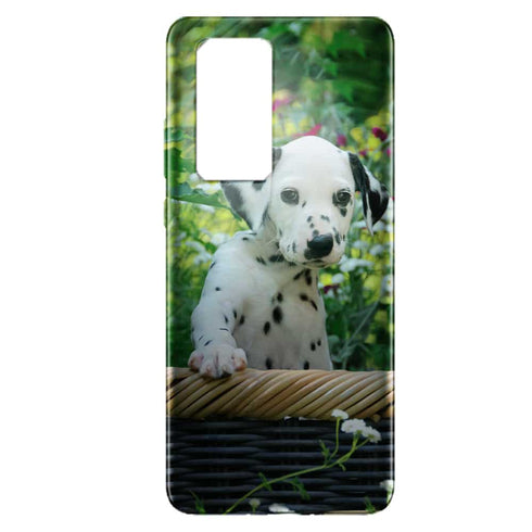 Coque P40 Pro, P40 Ultra resistante Cute Dalmatian Puppy in a Basket