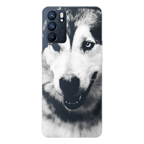Coque Oppo Reno6 5G Husky aux Yeux Clairs