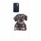 Coque Oppo Reno6 5G Regard Teckel