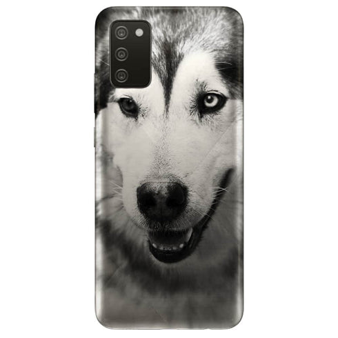 Coque Samsung Galaxy A02S husky aux yeux clairs