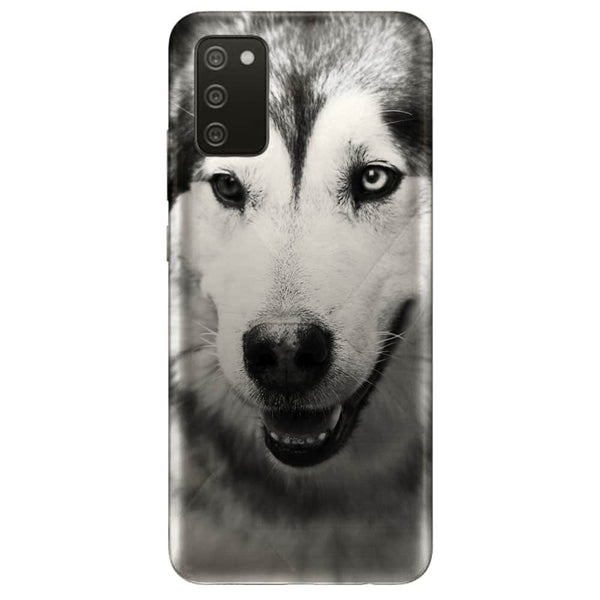 Coque Samsung Galaxy A02S husky aux yeux clairs