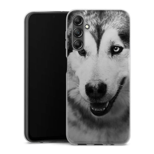 Coque Samsung Galaxy A14 5G Husky aux Yeux Clairs