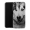 Coque Samsung Galaxy A14 5G Husky aux Yeux Clairs