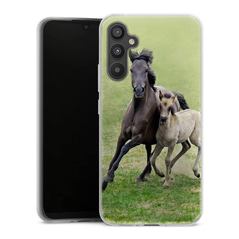 Coque Samsung Galaxy A34 5G Horses, Wild Duelmener ponies, mare and foal