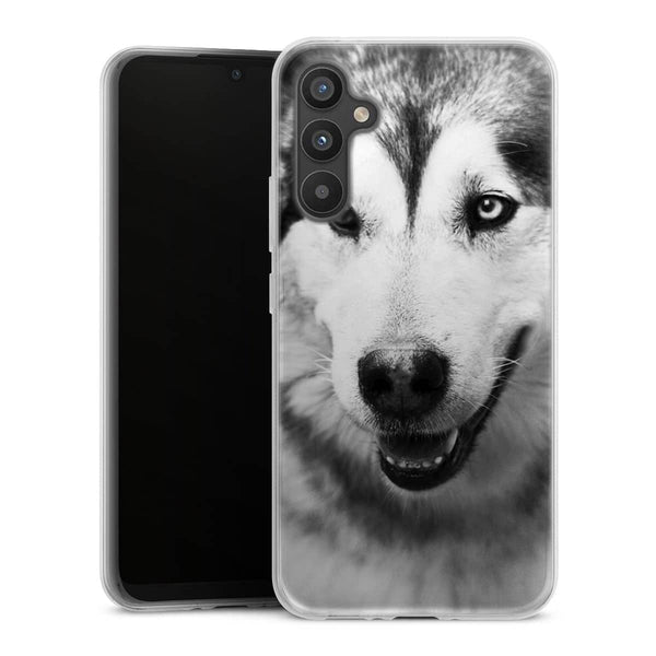 Coque Samsung Galaxy A34 5G Husky aux Yeux Clairs