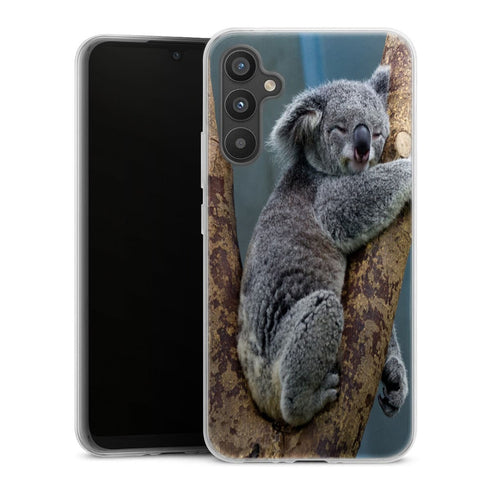 Coque Samsung Galaxy A34 5G Koalas Bear Australia