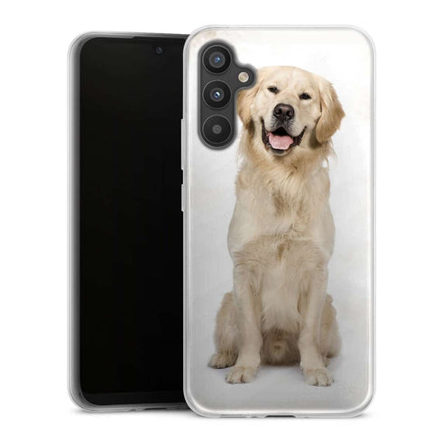 Coque Samsung Galaxy A34 5G Labrador Golden