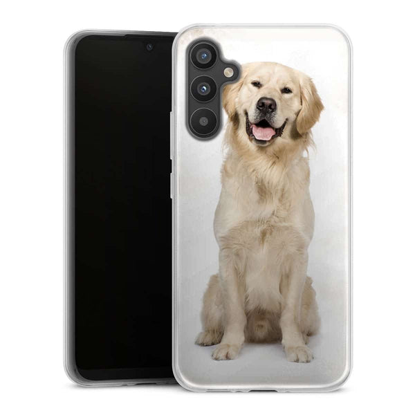 Coque Samsung Galaxy A34 5G Labrador Golden