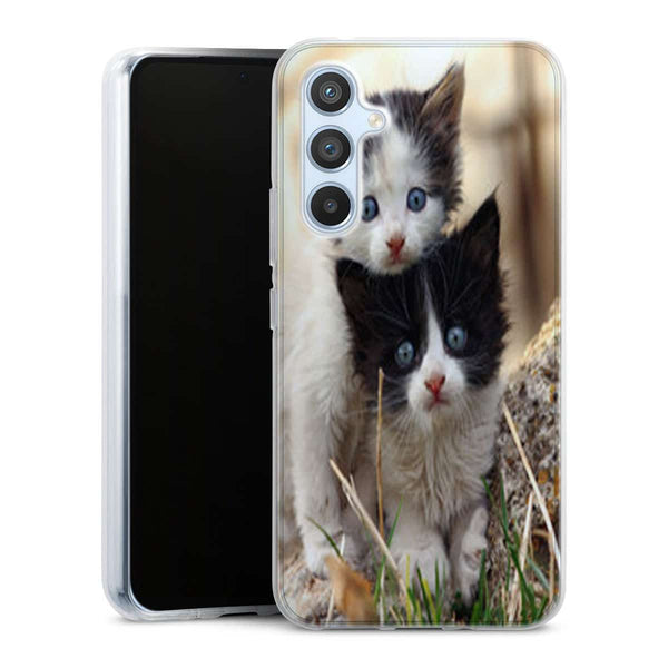Coque Samsung Galaxy A54 5G Chatons Mignons
