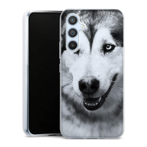 Coque Samsung Galaxy A54 5G Husky aux Yeux Clairs