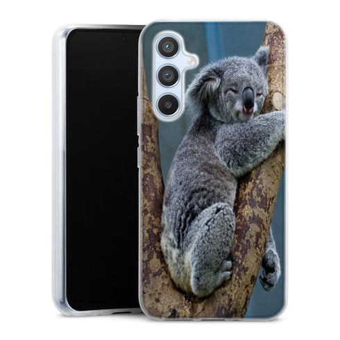 Coque Samsung Galaxy A54 5G Koalas Bear Australia