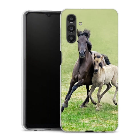 Coque Samsung Galaxy A04S Horses, Wild Duelmener ponies, mare and foal