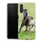 Coque Samsung Galaxy A04S Horses, Wild Duelmener ponies, mare and foal