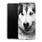 Coque Samsung Galaxy A04S Husky aux Yeux Clairs