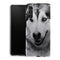 Coque Samsung Galaxy A13 5G Husky aux Yeux Clairs - MaCoquePerso