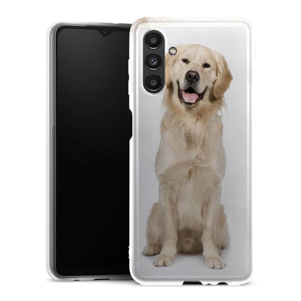Coque Samsung Galaxy A13 5G Labrador Golden - MaCoquePerso