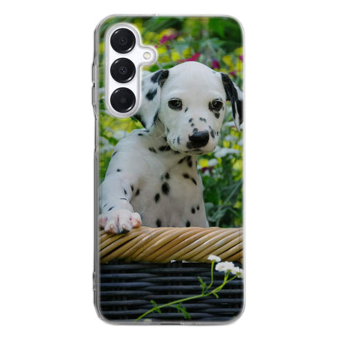 Coque Samsung Galaxy A16 5G Chiot Dalmatien