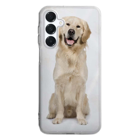 Coque Samsung Galaxy A16 5G Labrador Golden