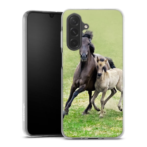 Coque Samsung Galaxy A26 5G Horses, Wild Duelmener ponies, mare and foal