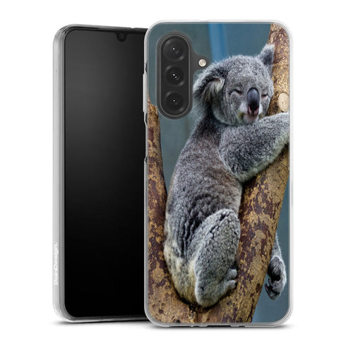 Coque Samsung Galaxy A26 5G Koalas Bear Australia