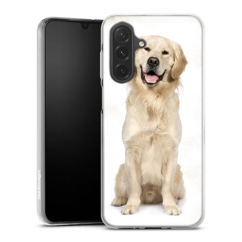 Coque Samsung Galaxy A26 5G Labrador Golden