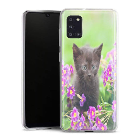 coque de téléphone chaton Samsung Galaxy A31