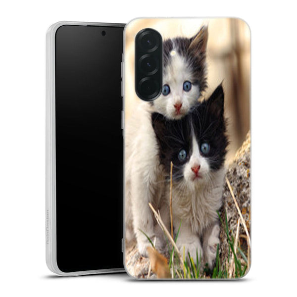 Coque Samsung Galaxy A36 5G Chatons Mignons