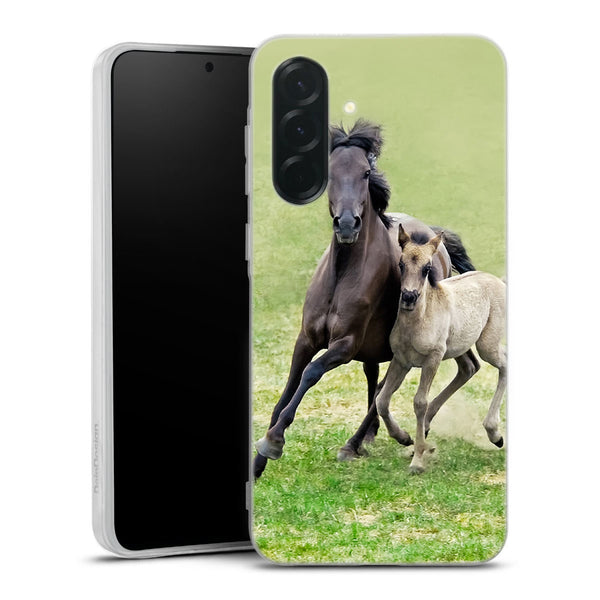 Coque Samsung Galaxy A36 5G Horses, Wild Duelmener ponies, mare and foal