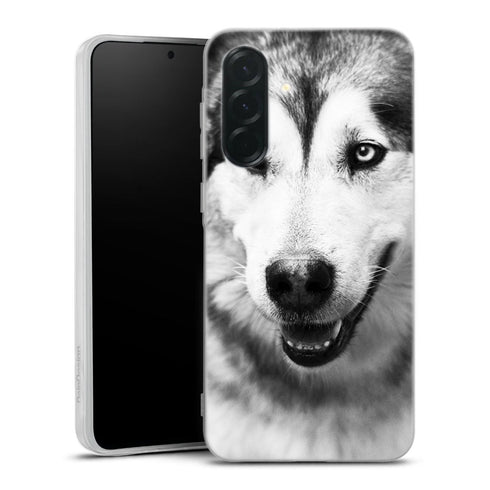 Coque Samsung Galaxy A36 5G Husky aux Yeux Clairs