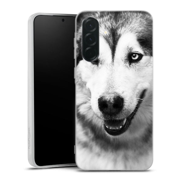 Coque Samsung Galaxy A36 5G Husky aux Yeux Clairs