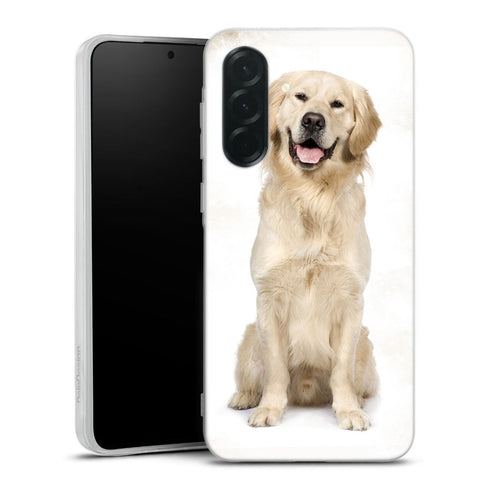 Coque Samsung Galaxy A36 5G Labrador Golden