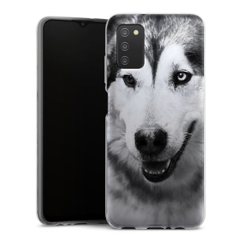 Coque Samsung Galaxy A03S Husky aux Yeux Clairs