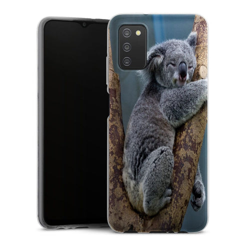 Coque Samsung Galaxy A03S Koalas Bear Australia