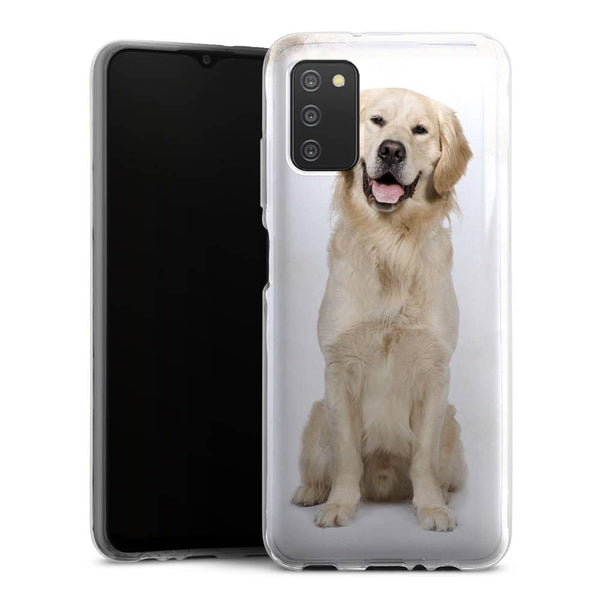 Coque Samsung Galaxy A03S Labrador Golden