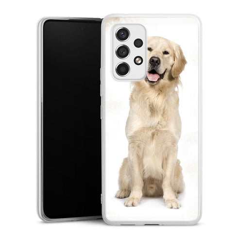 Coque Samsung Galaxy A53 5G Labrador Golden