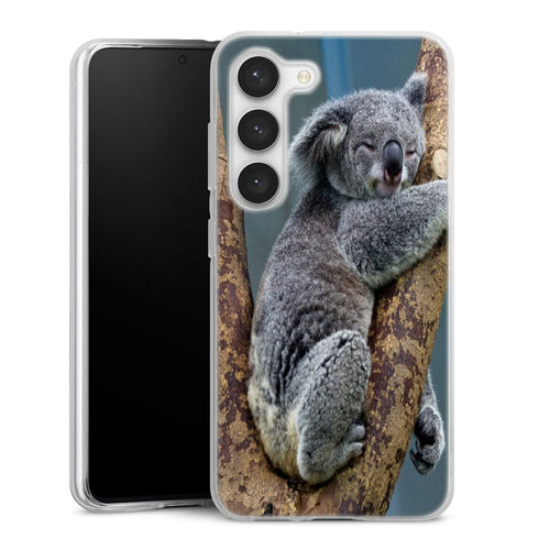 Coque Samsung Galaxy S23 Koalas Bear Australia