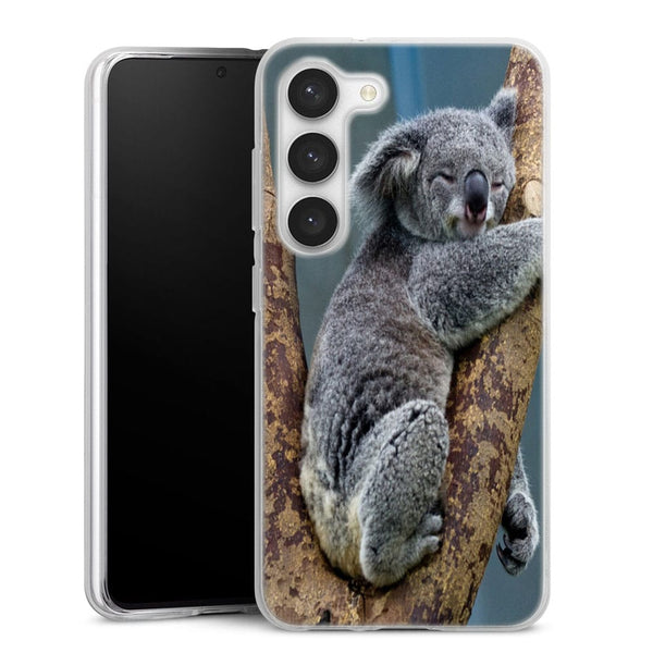 Coque Samsung Galaxy S23 Koalas Bear Australia