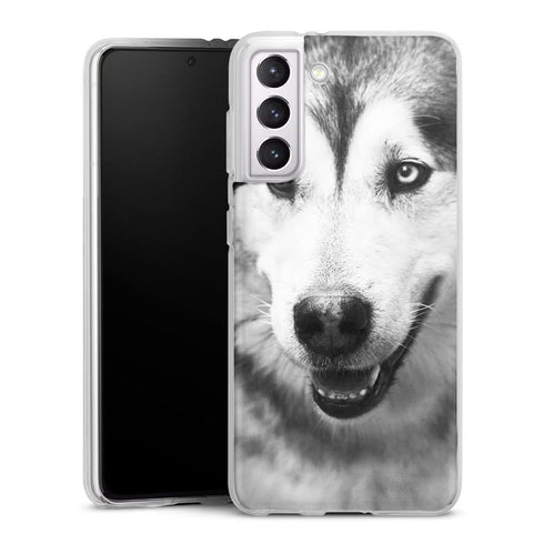 Coque Samsung Galaxy S21, Galaxy S21 Plus