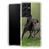 Coque Samsung Galaxy S21 Horses, Wild Duelmener ponies, mare and foal - MaCoquePerso