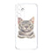 Coque Samsung Galaxy A15 5G Chat du Bengale