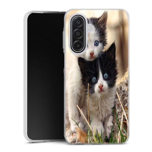 Coque Samsung Galaxy A17 5G Chatons Mignons