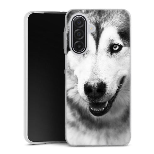 Coque Samsung Galaxy A17 5G Husky aux Yeux Clairs