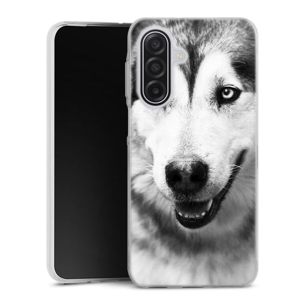 Coque Samsung Galaxy A17 5G Husky aux Yeux Clairs