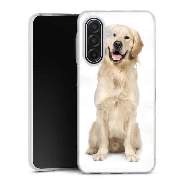 Coque Samsung Galaxy A17 5G Labrador Golden
