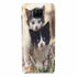 Coque Xiaomi Mi 10T Chatons Mignons - MaCoquePerso