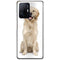 Coque Xiaomi 11T 5G Labrador Golden | Housse Silicone, Etui Antichoc | Motif Race de Chien